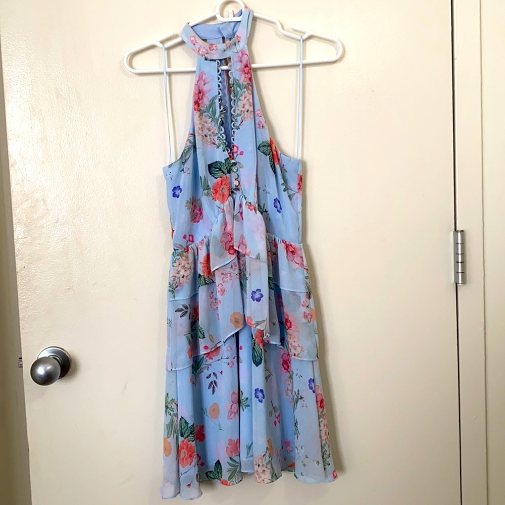 Express Floral Dress